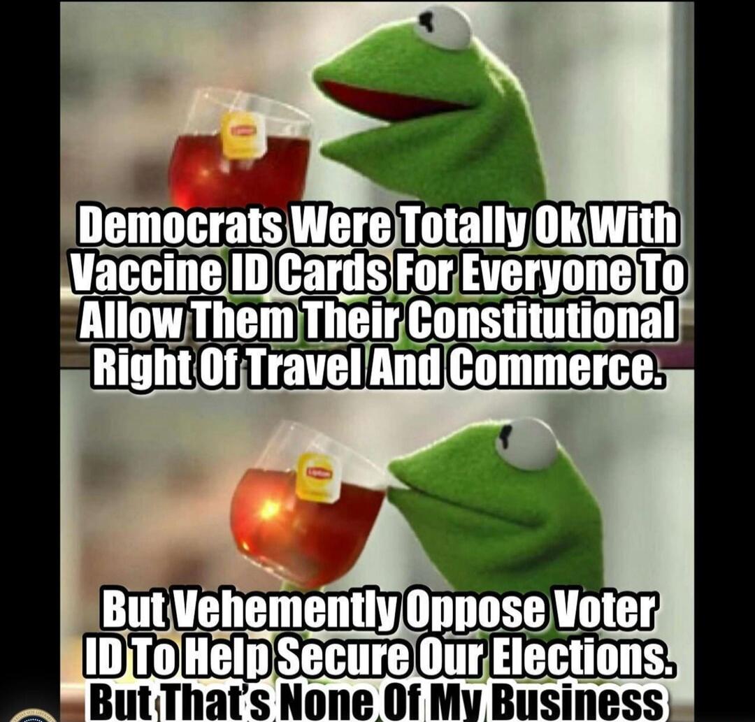Democrats Were Totally Ok With Vaccine ID Cards For Everyone To Allow Them Their Constitutional Right Of Travel And Commerce. But Vehemently Oppose Voter ID To Help Secure Our Elections. But That's None Of My Business