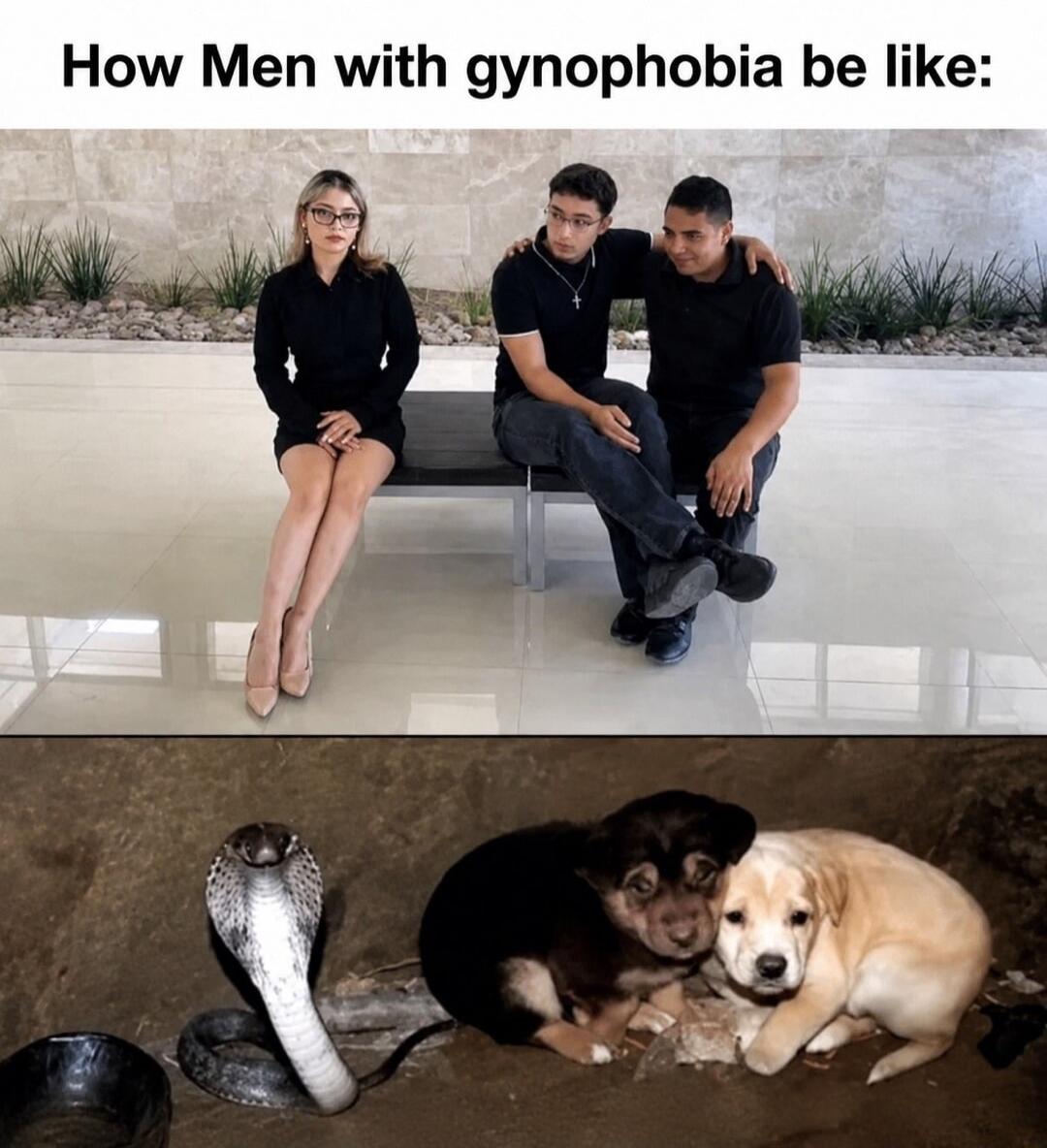 How Men with gynophobia be like: A woman sits alone on a bench while two men huddle together, looking away from her. Below, a cobra is next to two cuddling puppies.