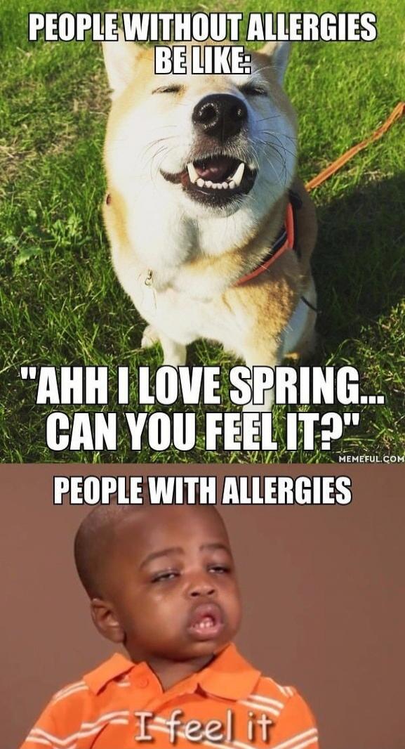 PEOPLE WITHOUT ALLERGIES BE LIKE: 