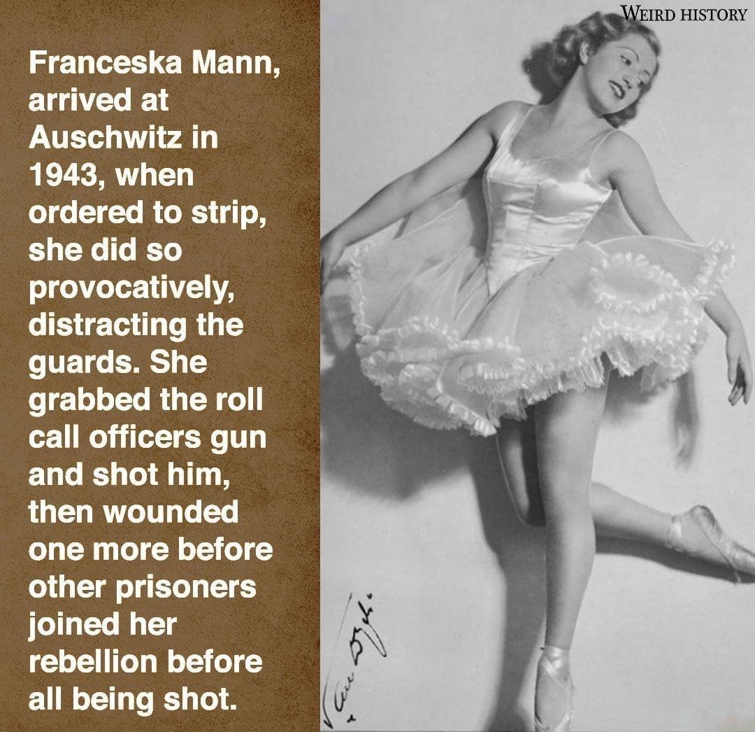 Franceska Mann arrived at Auschwitz in 1943 when o o TTo o J 1 1 o 8 she did so o goV eTer 1 11YA eI T R o VETde LIRS 1 o gz1eloJ To R igW o call officers gun and shot him then wounded one more before other prisoners joined her o1 ToTg W oT3 o all being shot