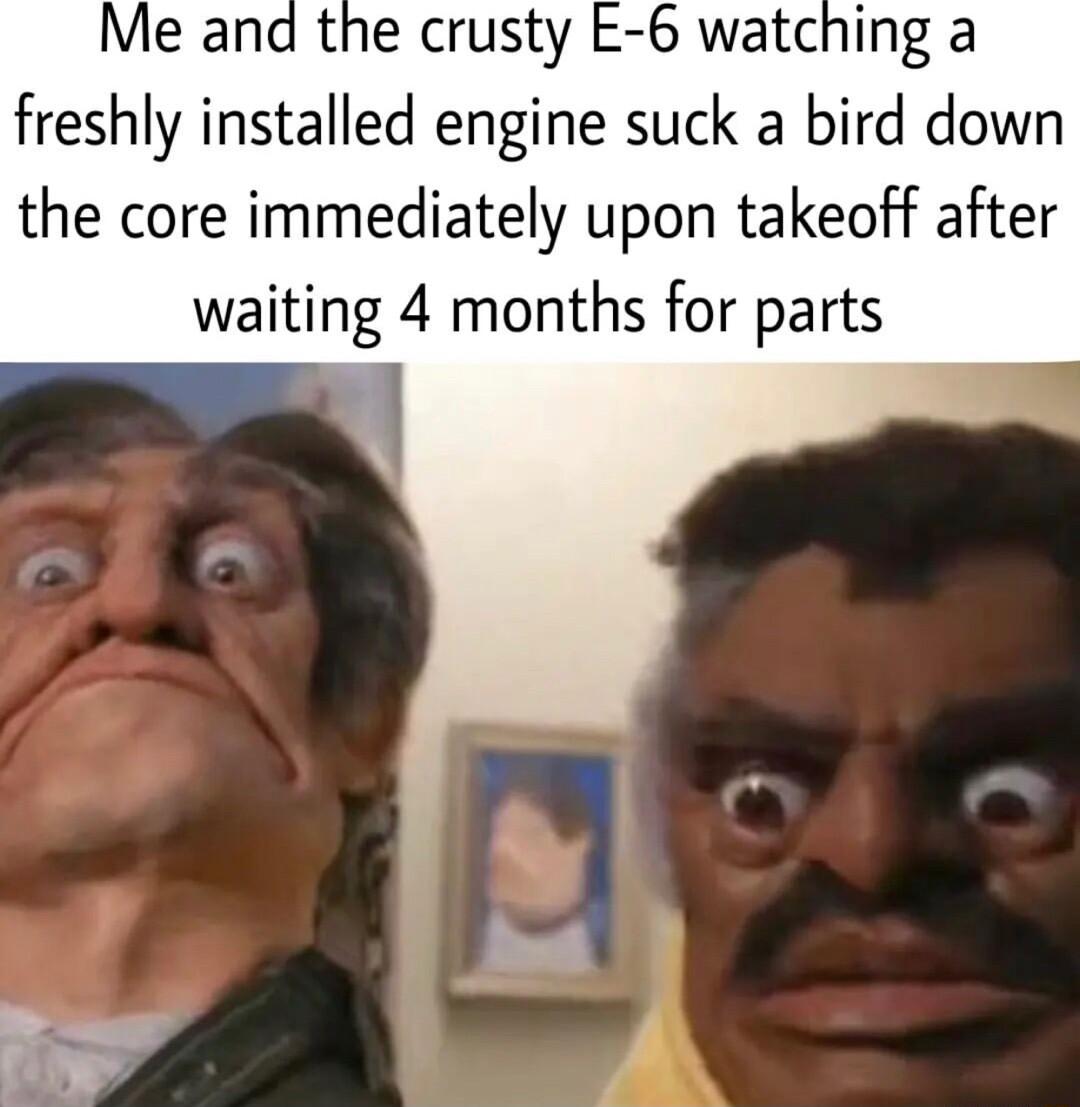 the crusty E 6 watching a freshly installed engine suck a bird down the core immediately upon takeoff after waiting 4 months for parts