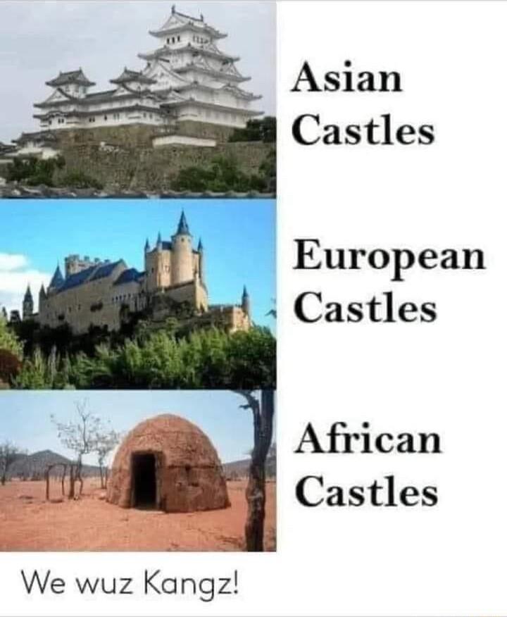 Asian Castles European Castles African Castles We wuz Kangz