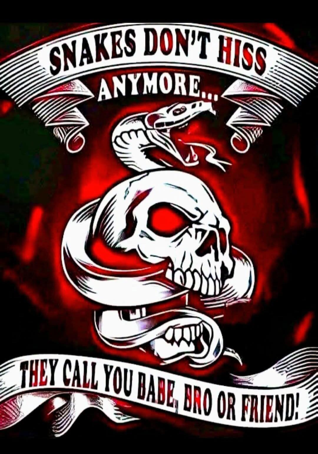 SNAKES DON'T HISS ANYMORE... THEY CALL YOU BABE, BRO OR FRIEND!