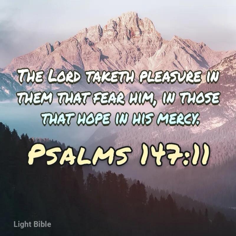 The Lord taketh pleasure in them that fear him, in those that hope in his mercy. Psalms 147:11