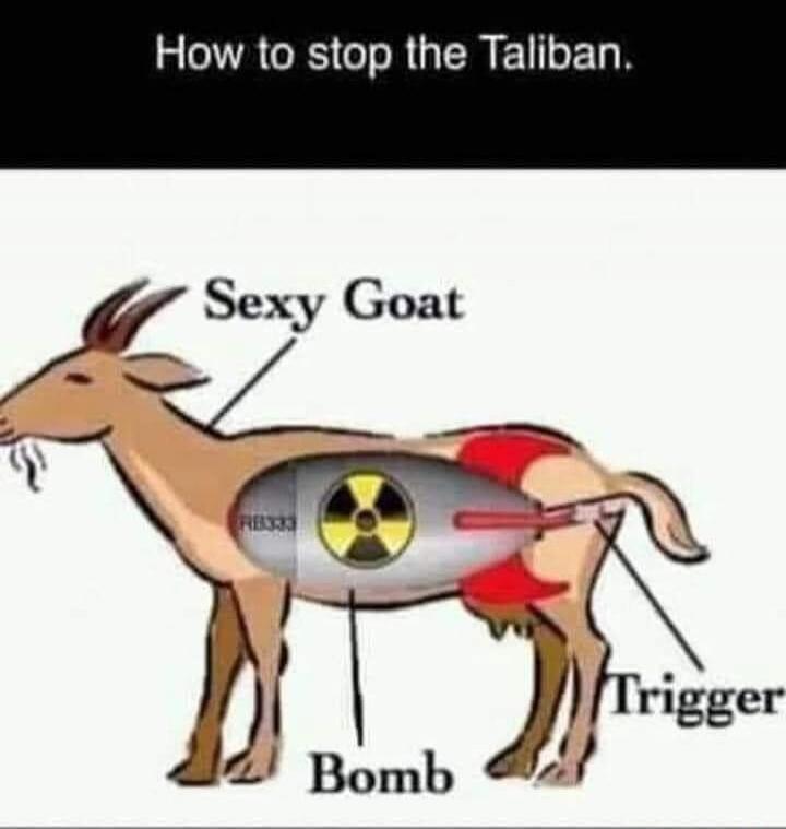 How to stop the Taliban. Sexy Goat Bomb Trigger
