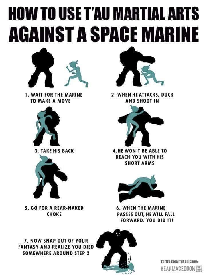 HOW T0 USE TAU MARTIAL ARTS AGAINST A SPACE MARINE R X 1 WAIT FOR THE MARINE 2 WHEN HE ATTACKS DUCK TO MAKE A MOVE AND SHOOT IN 3 TAKE HIS BACK 4HEWONT BE ABLE TO REACH YOU WITH HIS SHORT ARMS 5G0 FOR A REAR NAKED 6 WHEN THE MARINE CHOKE PASSES OUT HEWILL FALL FORWARD YOU DID 11 7 NOW SNAP OUT OF YOUR FANTASY AND REALIZE YOU DIED SOMEWHERE AROUND STEP 2