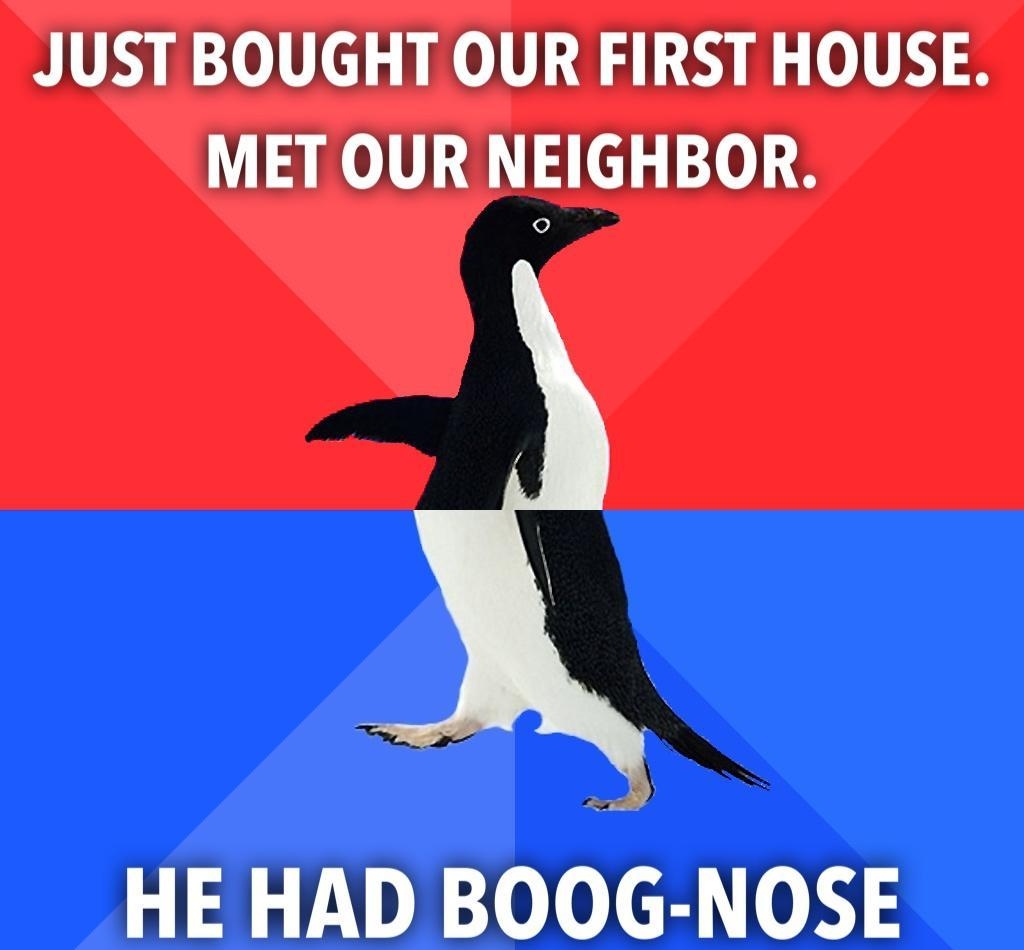 JUST BOUGHT OUR FIRST HOUSE MET OUR NEIGHBOR P HE HAD BOdG NOSE