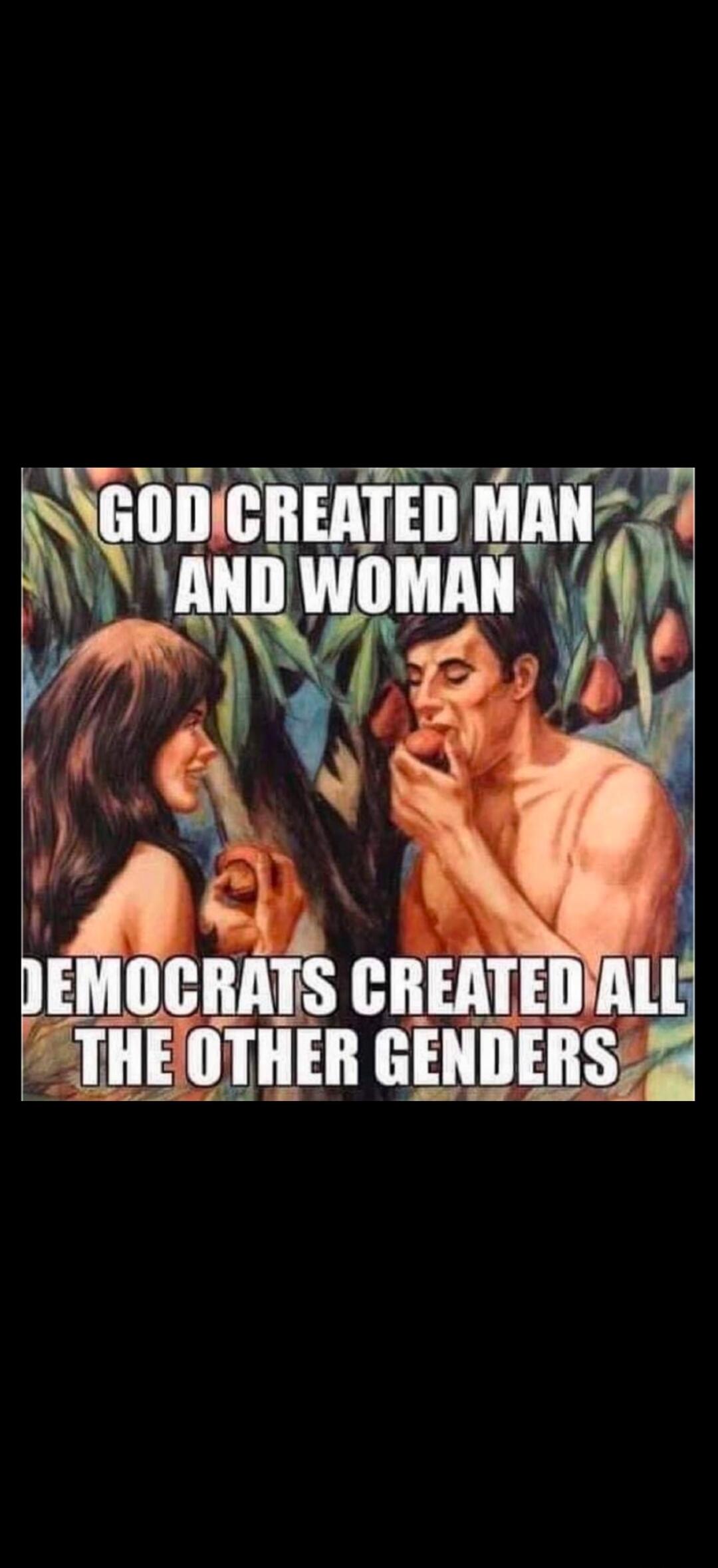 GOD CREATED MAN AND WOMAN. DEMOCRATS CREATED ALL THE OTHER GENDERS.