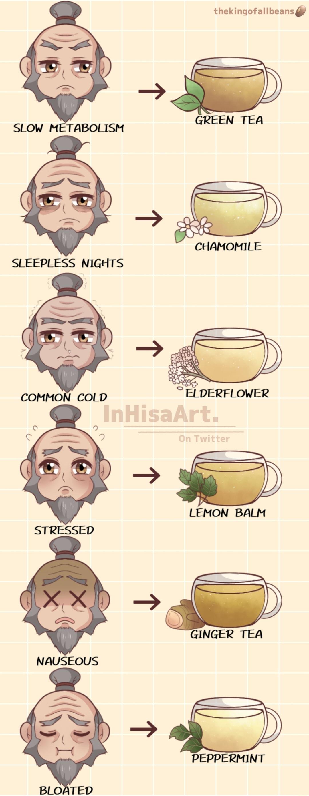 thekingofallbeansa 2 GREEN TEA SLOW METABOLISM CHAMOMILE LEMON BALM X GINGER TEA oD PEPPERMINT NAUSEOUS