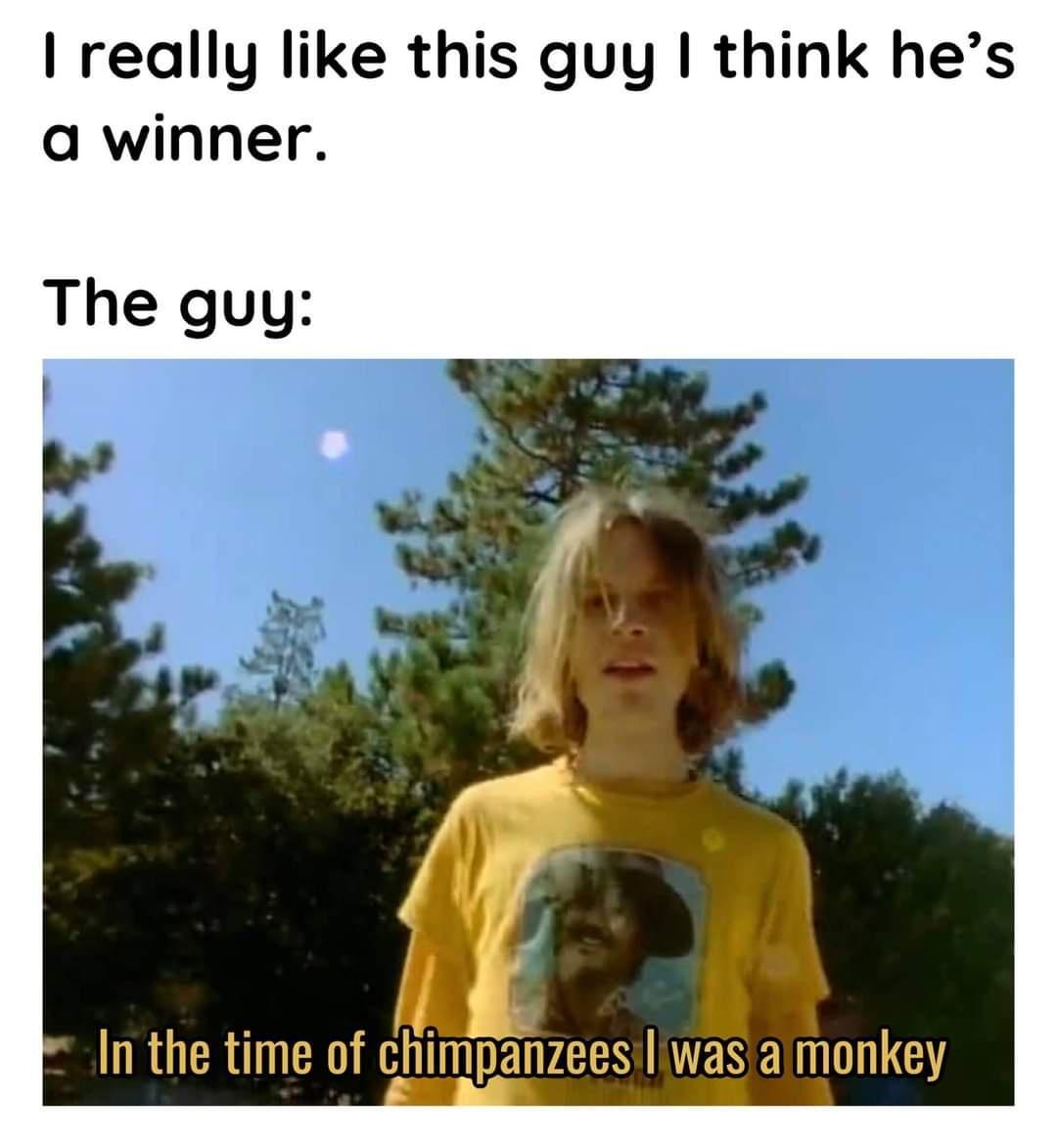 really like this guy think hes a winner NIRRT chimpanzees IWESENIILET