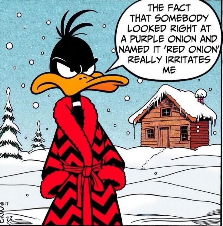 The fact that somebody looked right at a purple onion and named it 'red onion' really irritates me