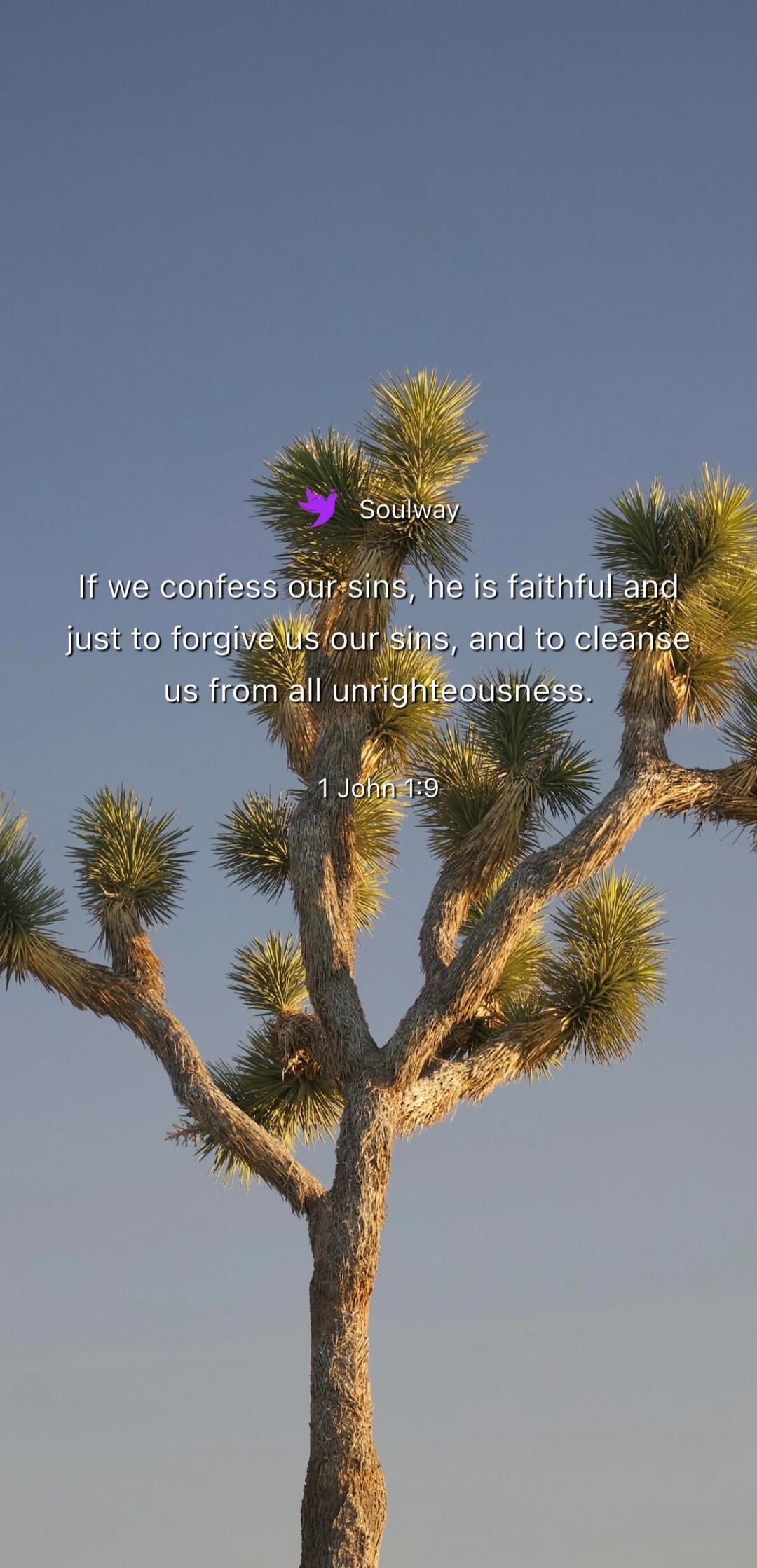 Soulway If we confess our sins, he is faithful and just to forgive us our sins, and to cleanse us from all unrighteousness. 1 John 1:9