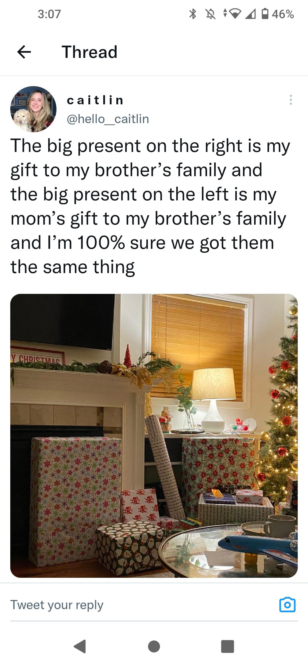 307 3 N 9 4846 Thread caitlin hello__caitlin The big present on the right is my gift to my brothers family and the big present on the left is my moms gift to my brothers family and Im 100 sure we got them the same thing Tweet your reply 3