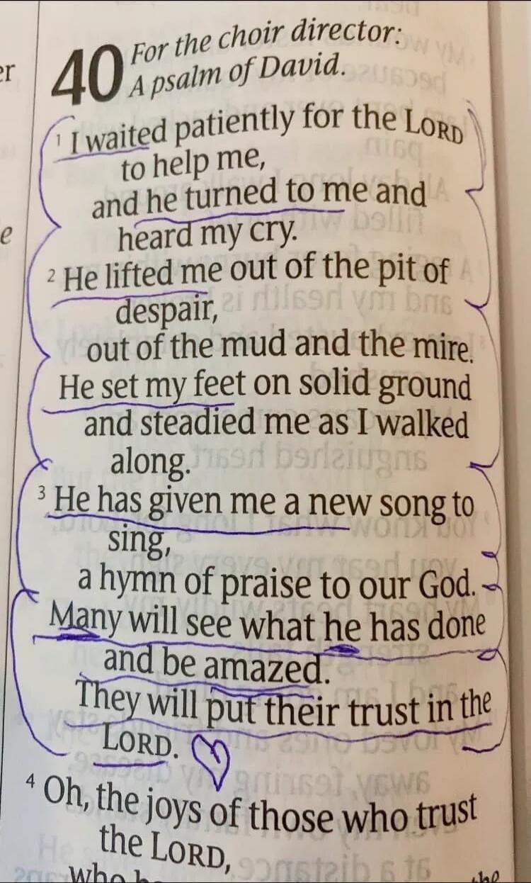 For the choir director: A psalm of David. I waited patiently for the LORD to help me, and he turned to me and heard my cry. He lifted me out of the pit of despair, out of the mud and the mire. He set my feet on solid ground and steadied me as I walked along. He has given me a new song to sing, a hymn of praise to our God. Many will see what he has 
