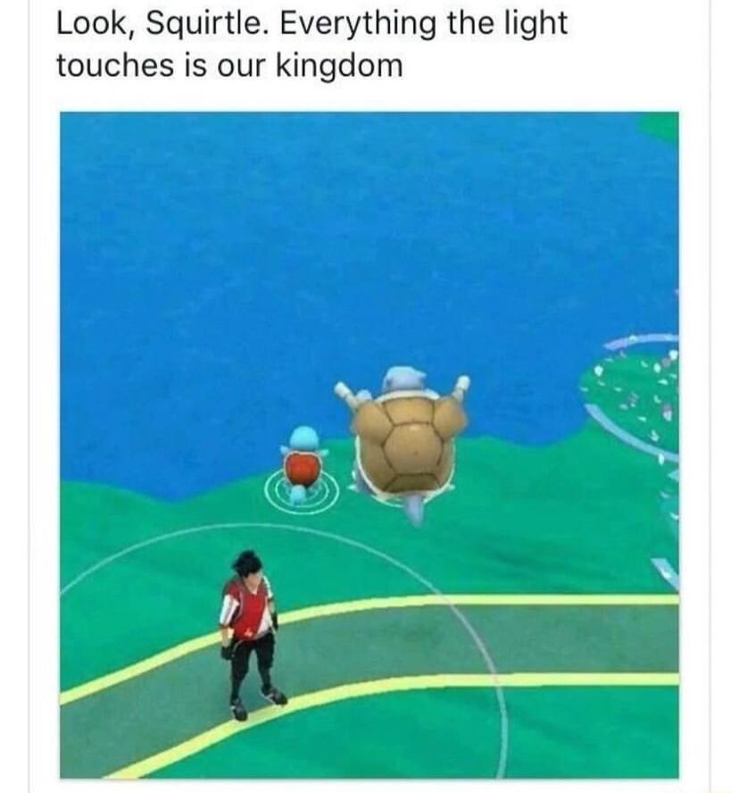 Look Squirtle Everything the light touches is our kingdom