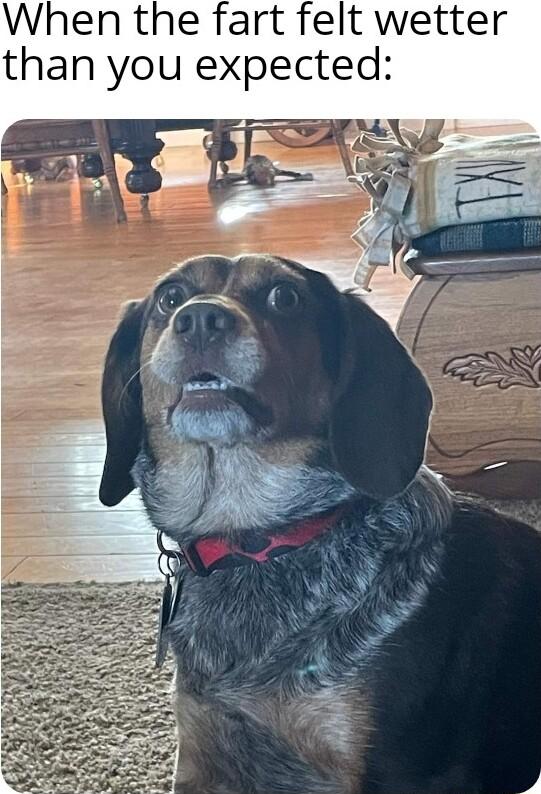 When the fart felt wetter than you expected