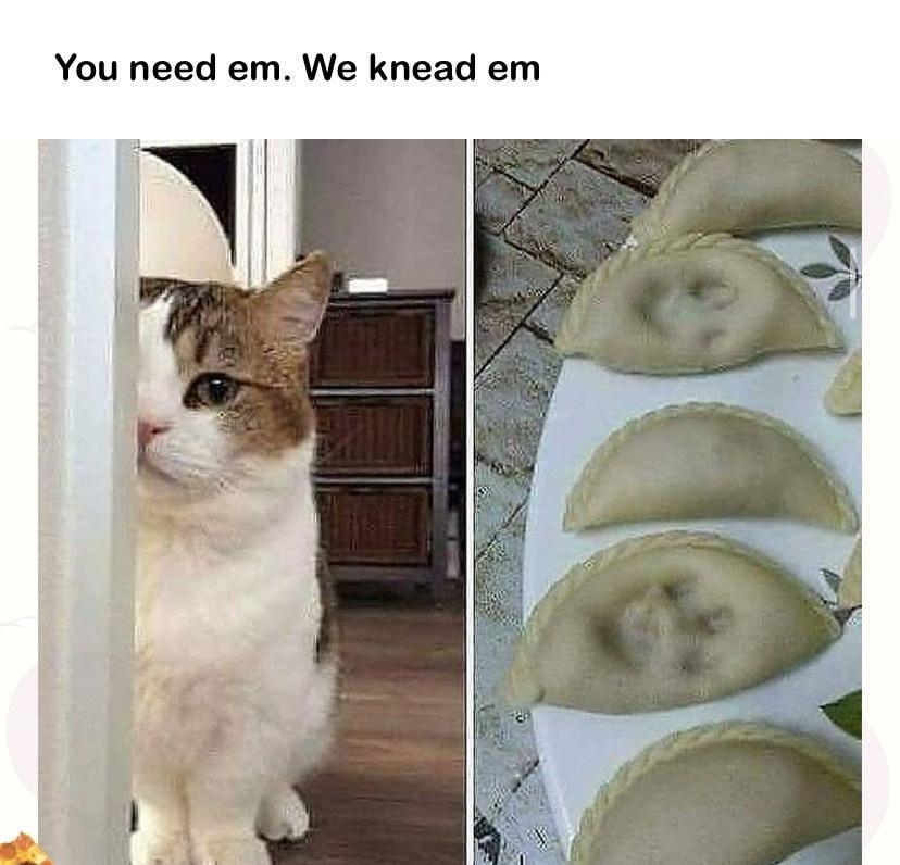o o c E 4 You need em We