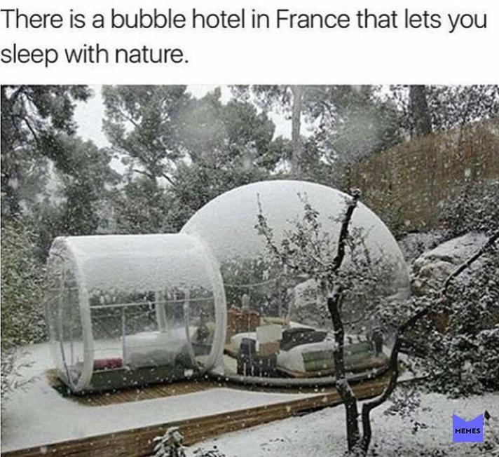 There is a bubble hotel in France that lets you sleep with nature