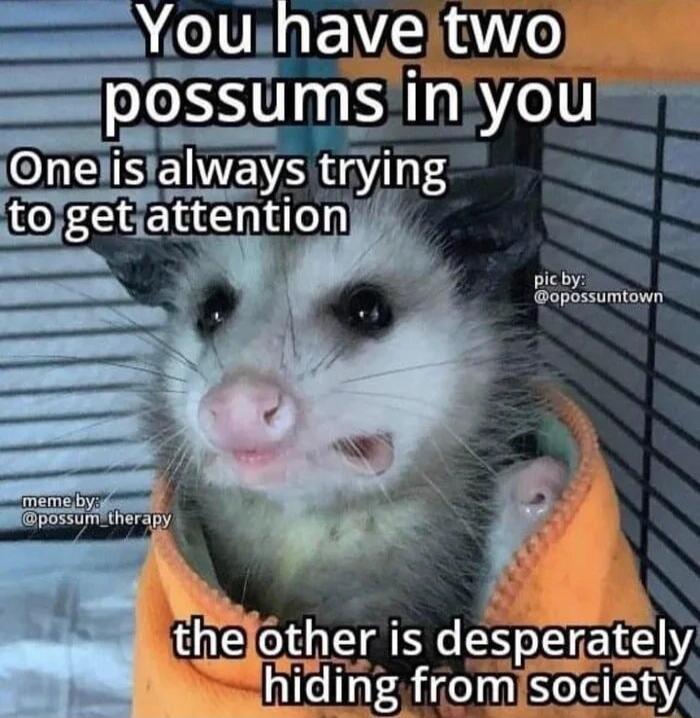 S U ENSe o pOSlg LS in yOUfi OEBEHNENS trymg iy Ltggeta ttention the CEAS desperately hldlng el SeXEEaA