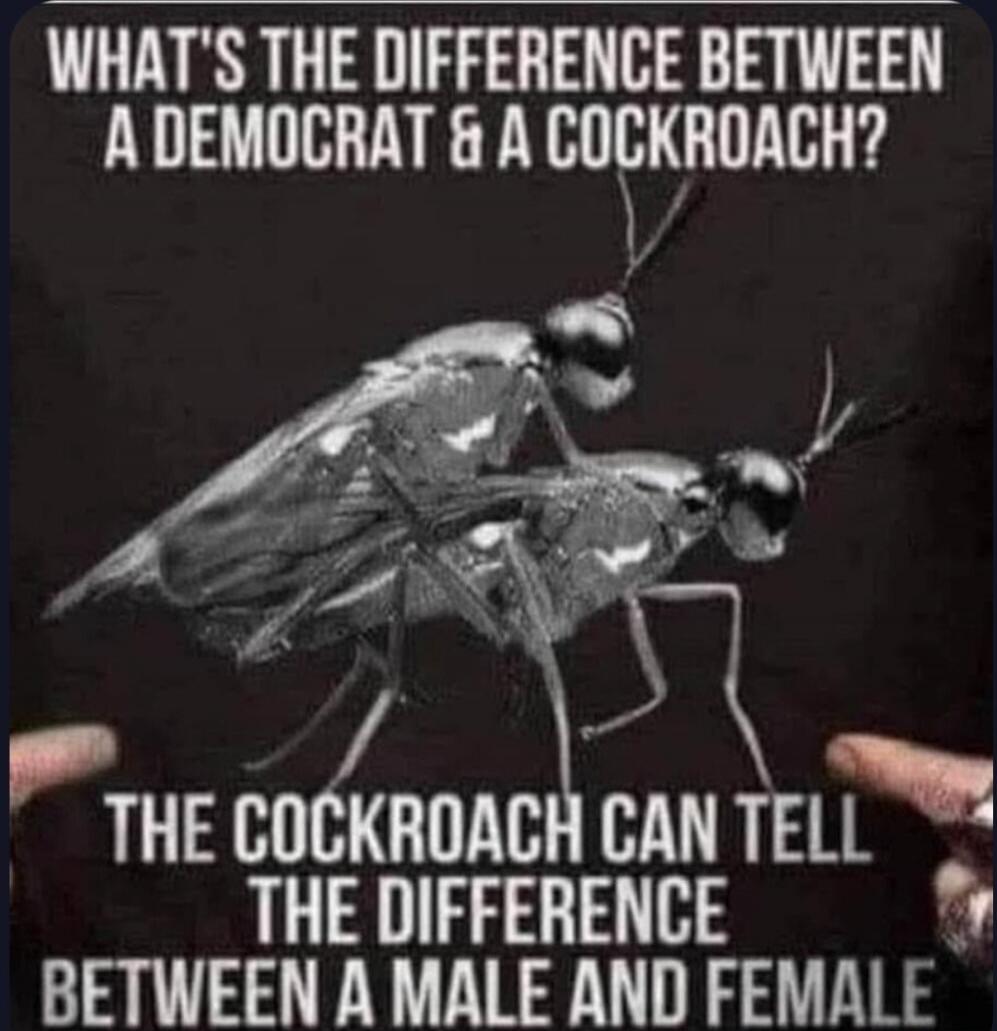 WHAT'S THE DIFFERENCE BETWEEN A DEMOCRAT & A COCKROACH? THE COCKROACH CAN TELL THE DIFFERENCE BETWEEN A MALE AND FEMALE