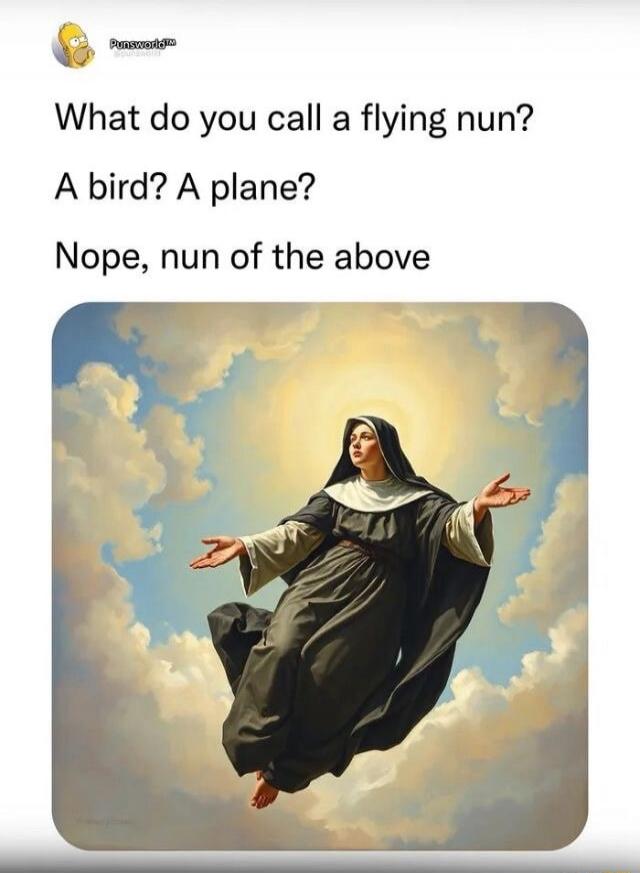 What do you call a flying nun? A bird? A plane? Nope, nun of the above
