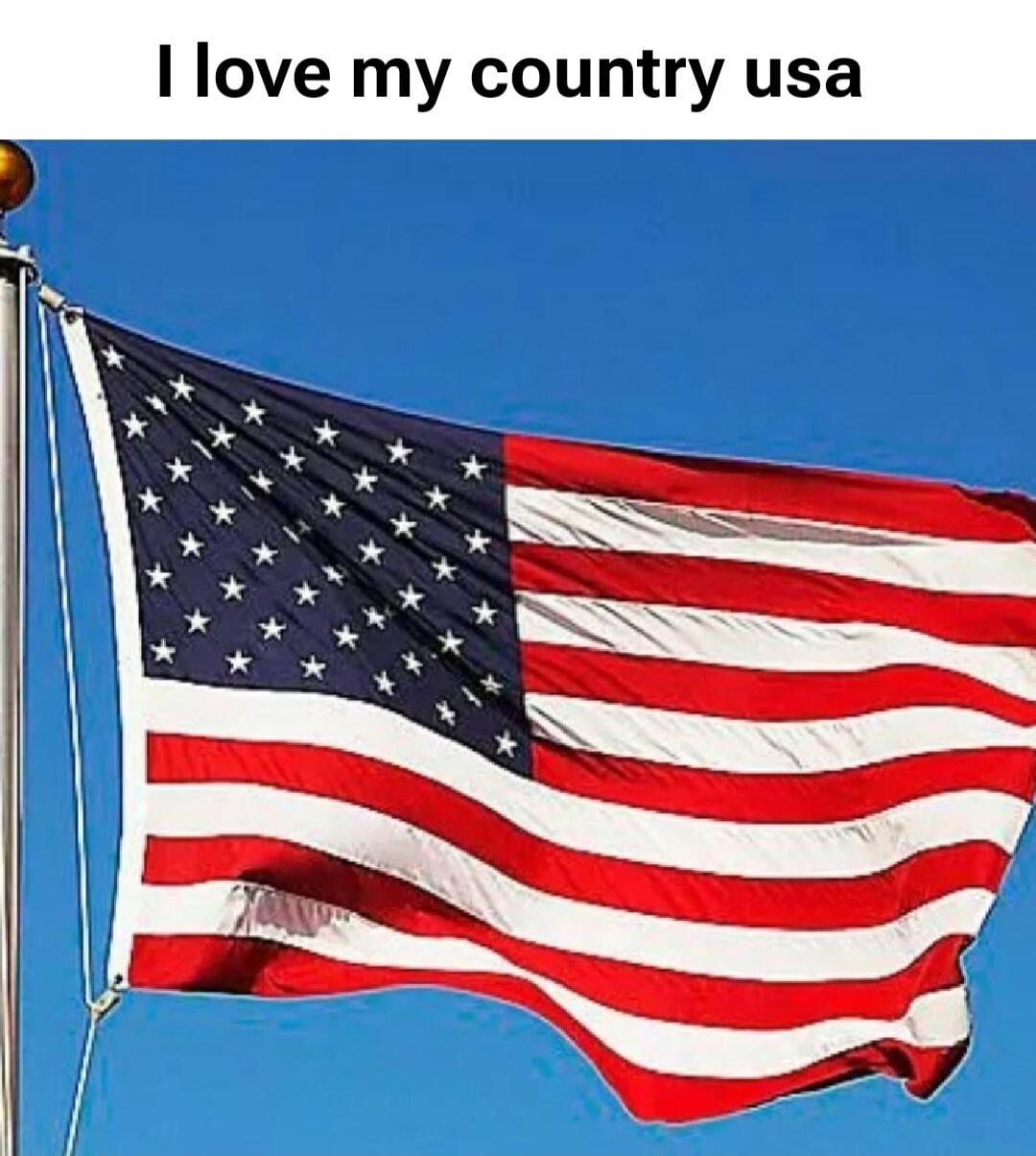 I love my country usa