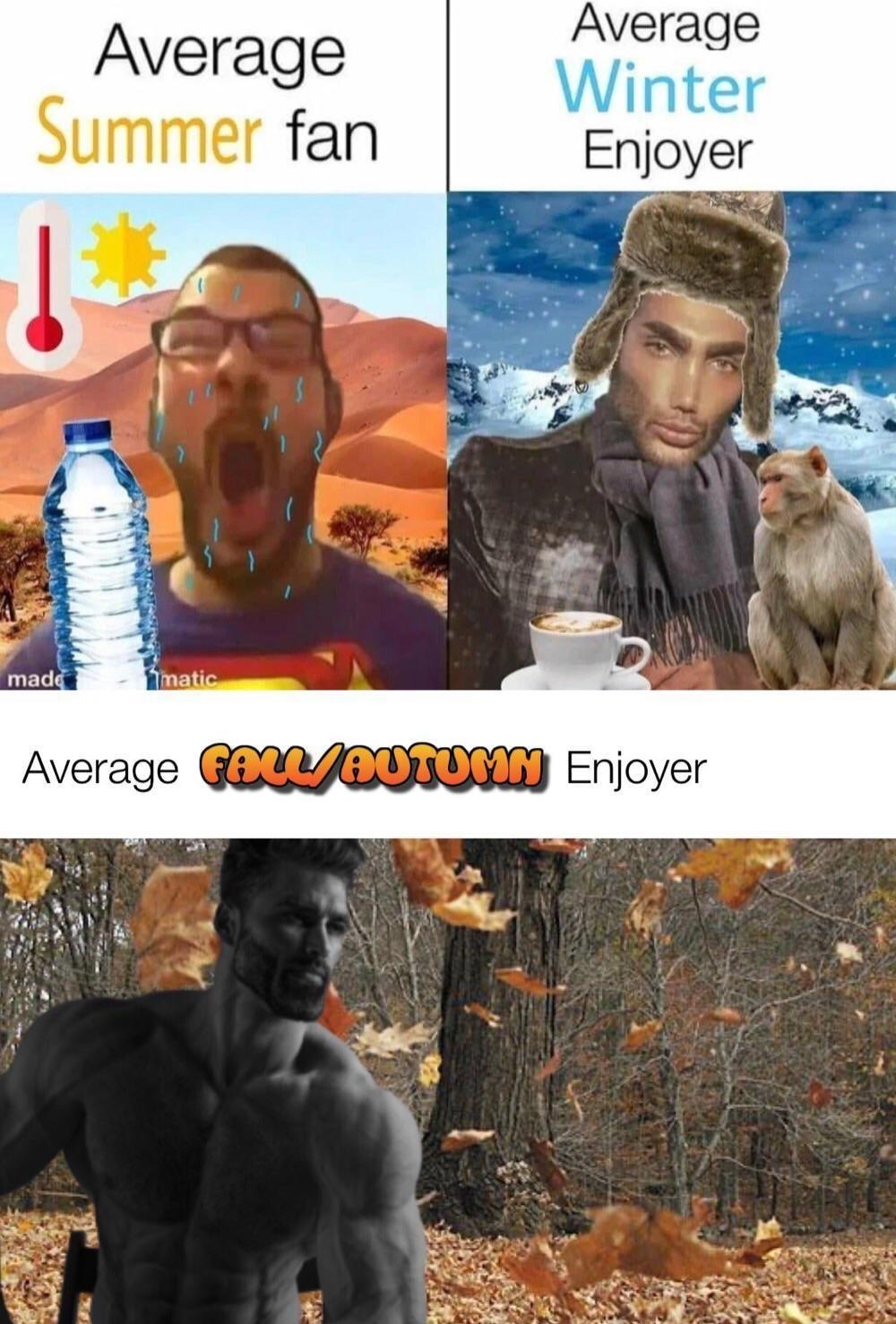 Average Average fan Enjoyer