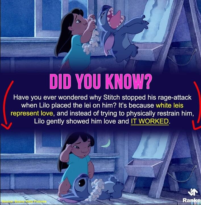 DID YOU KNOW Have you ever wondered why Stitch stopped his rage attack when Lilo placed the lei on him Its because white leis represent love and instead of trying to physically restrain him Ay Lilo gently showed him love and IT WORKED L