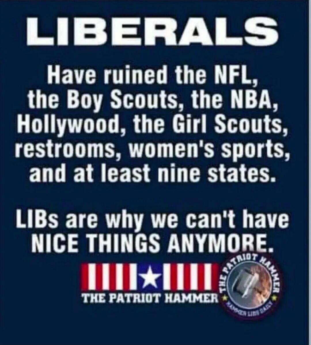 LIBERALS Have ruined the NFL, the Boy Scouts, the NBA, Hollywood, the Girl Scouts, restrooms, women's sports, and at least nine states. LIBs are why we can't have NICE THINGS ANYMORE. THE PATRIOT HAMMER