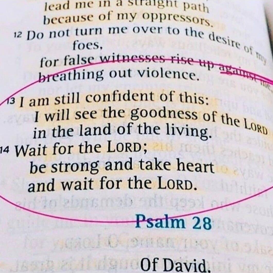 I am still confident of this: I will see the goodness of the LORD in the land of the living. Wait for the LORD; be strong and take heart and wait for the LORD.