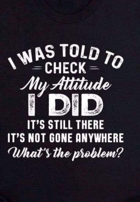 I WAS TOLD TO CHECK My Attitude I DID IT'S STILL THERE IT'S NOT GONE ANYWHERE What's the problem?