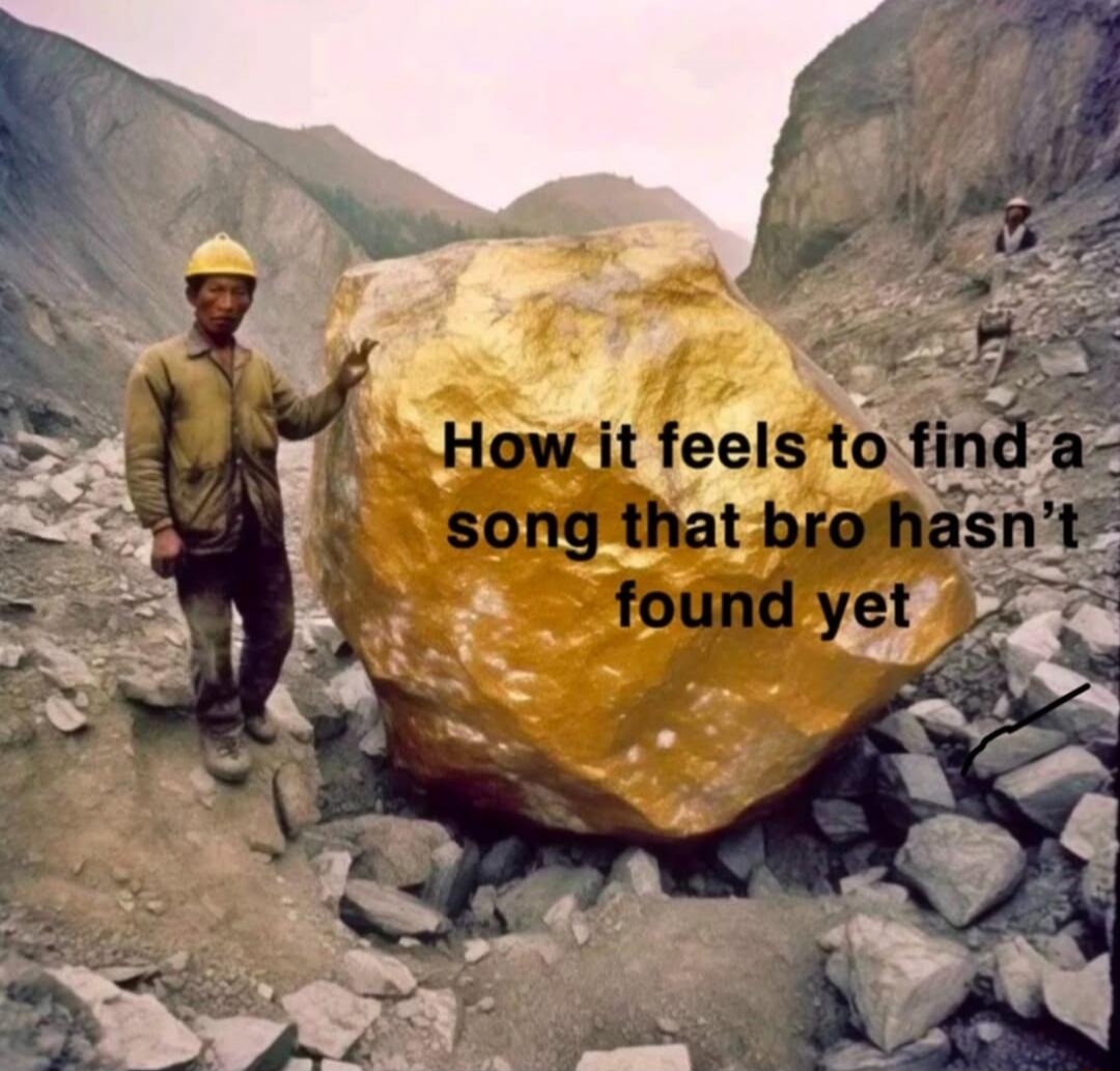 How it feels to find a song that bro hasn’t found yet
