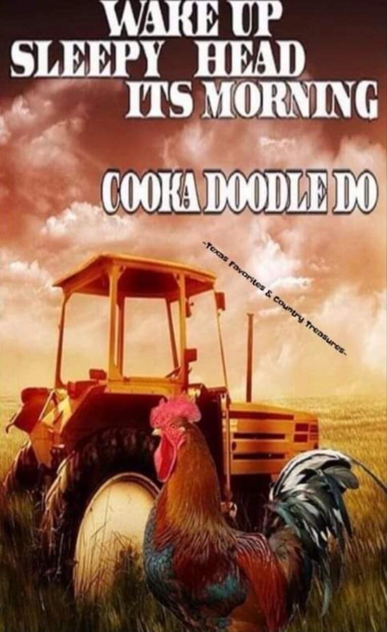 WAKE UP SLEEPY HEAD ITS MORNING COOKA DOODLE DO