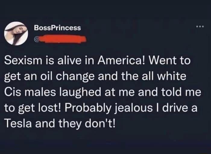 BossPrincess gt s SN VR WA C TR T 8 get an oil change and the all white Cis males laughed at me and told me LG o N S o o o A TSE Y IVER Mo IEY Tesla and they dont