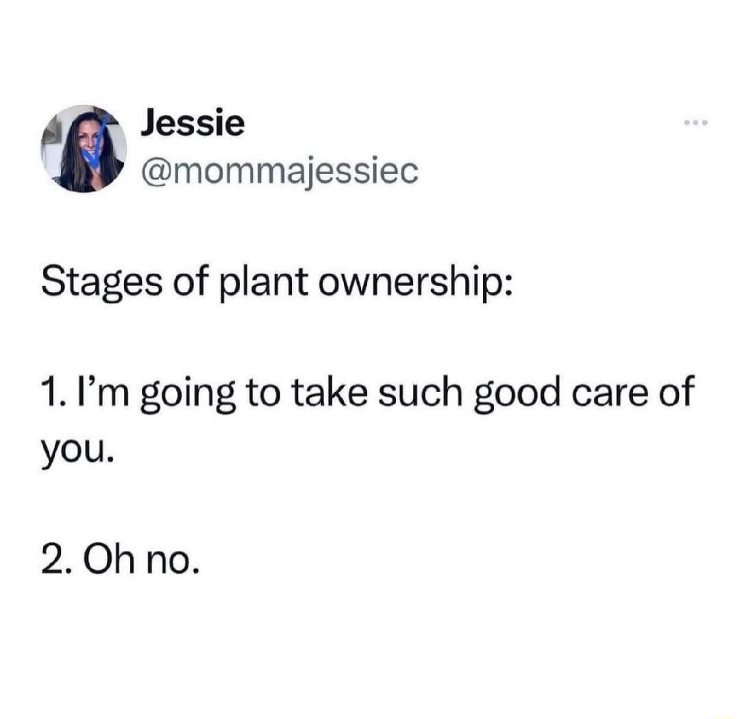 Stages of plant ownership:
1. I'm going to take such good care of you.
2. Oh no.