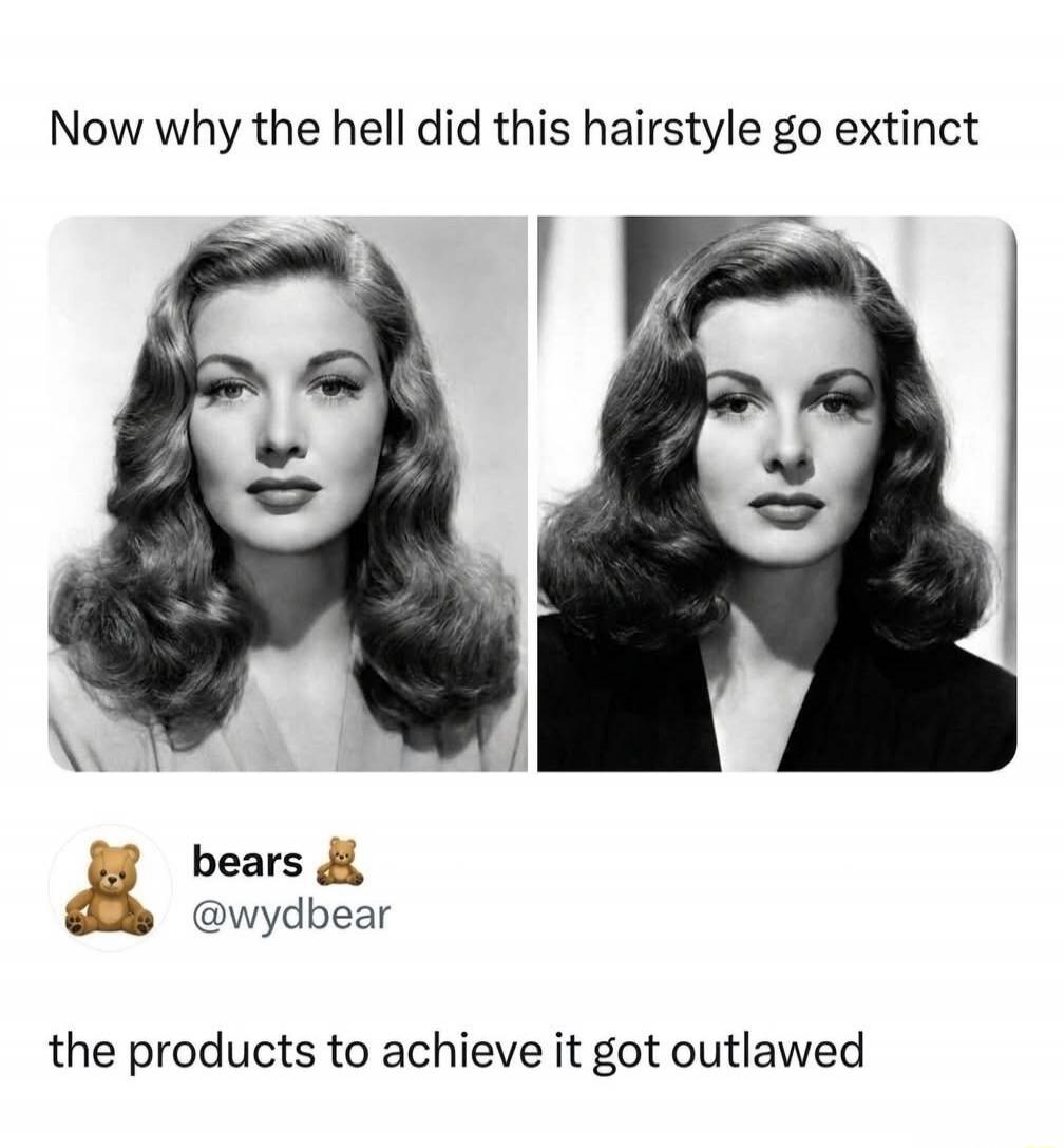 Now why the hell did this hairstyle go extinct bears @wydbear the products to achieve it got outlawed