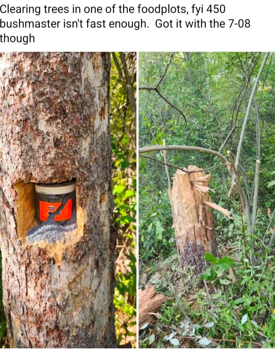 learing trees in one of the foodplots fyi 450 bushmaster isnt fast enough Got it with the 7 08