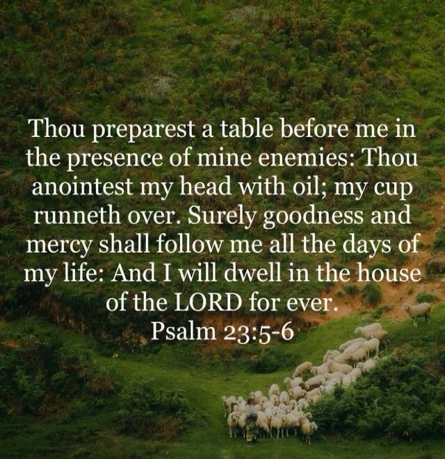 Thou preparest a table before me in the presence of mine enemies: Thou anointest my head with oil; my cup runneth over. Surely goodness and mercy shall follow me all the days of my life: And I will dwell in the house of the LORD for ever. Psalm 23:5-6