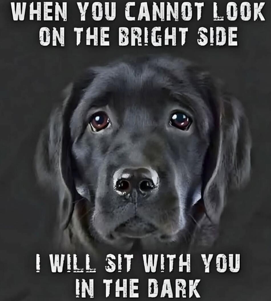WHEN YOU CANNOT LOOK ON THE BRIGHT SIDE I WILL SIT WITH YOU IN THE DARK