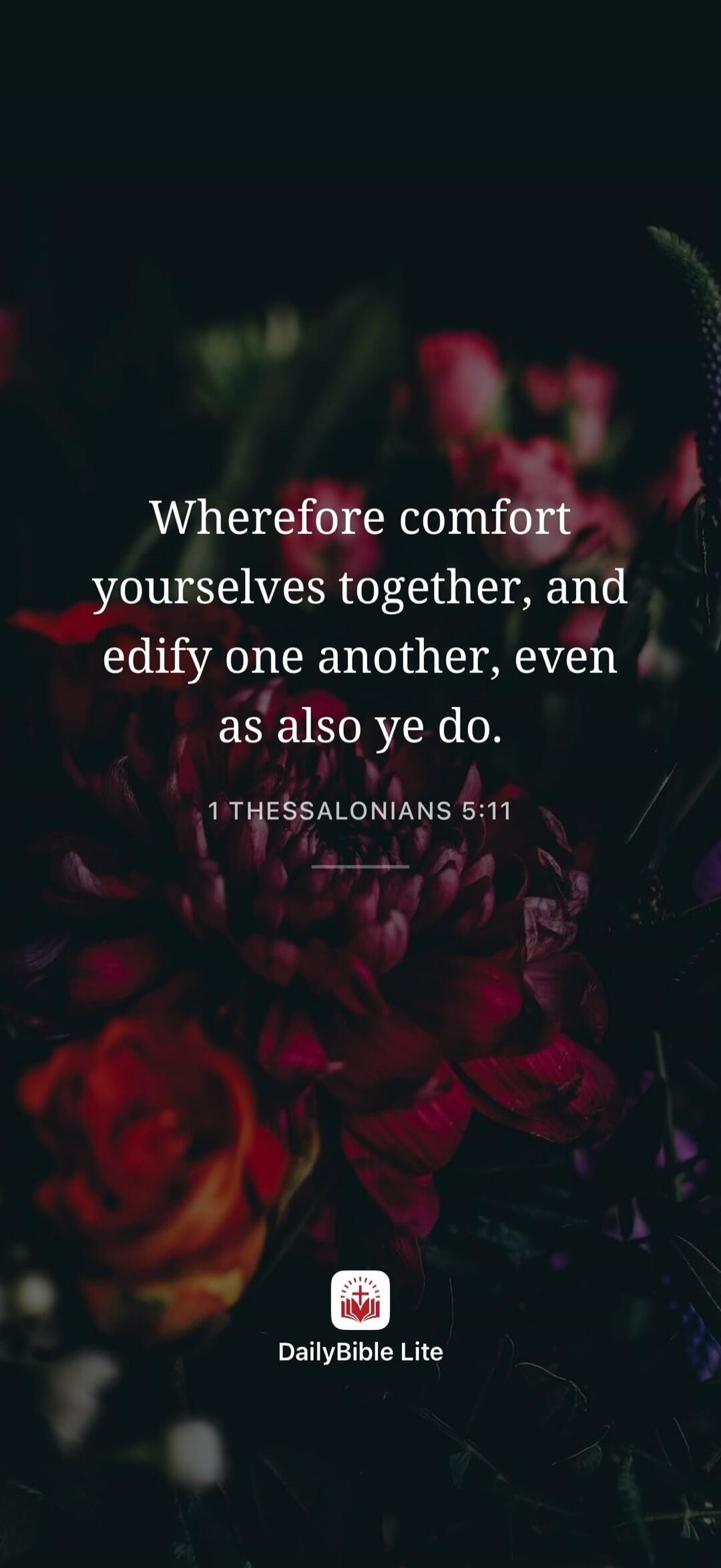 Wherefore comfort yourselves together, and edify one another, even as also ye do. 1 THESSALONIANS 5:11 DailyBible Lite