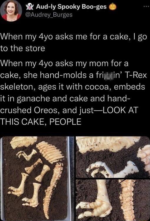 Y Aud ly Spooky Boo ges Audrey Burges When my 4yo asks me for a cake go to the store When my 4yo asks my mom for a cake she hand molds a frigin T Rex S ol W TR Y1 d g Welololo E MTpyloTe it in ganache and cake and hand crushed Oreos and justLOOK AT THIS CAKE PEOPLE