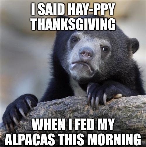 WHEN I FEDMY LPACAS THIS MORNING