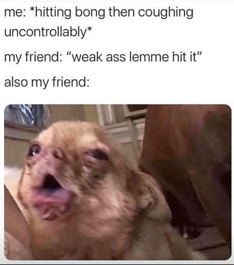 me hitting bong then coughing uncontrollably my friend weak ass lemme hit it also my friend