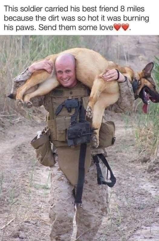 This soldier carried his best friend 8 miles because the dirt was so hot it was burning his paws Send them some love