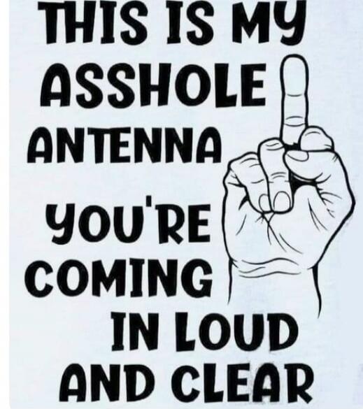 THIS IS MY ASSHOLE ANTENNA YOU'RE COMING IN LOUD AND CLEAR