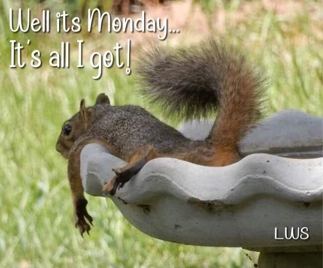 Well its Monday... It's all I got! LWS