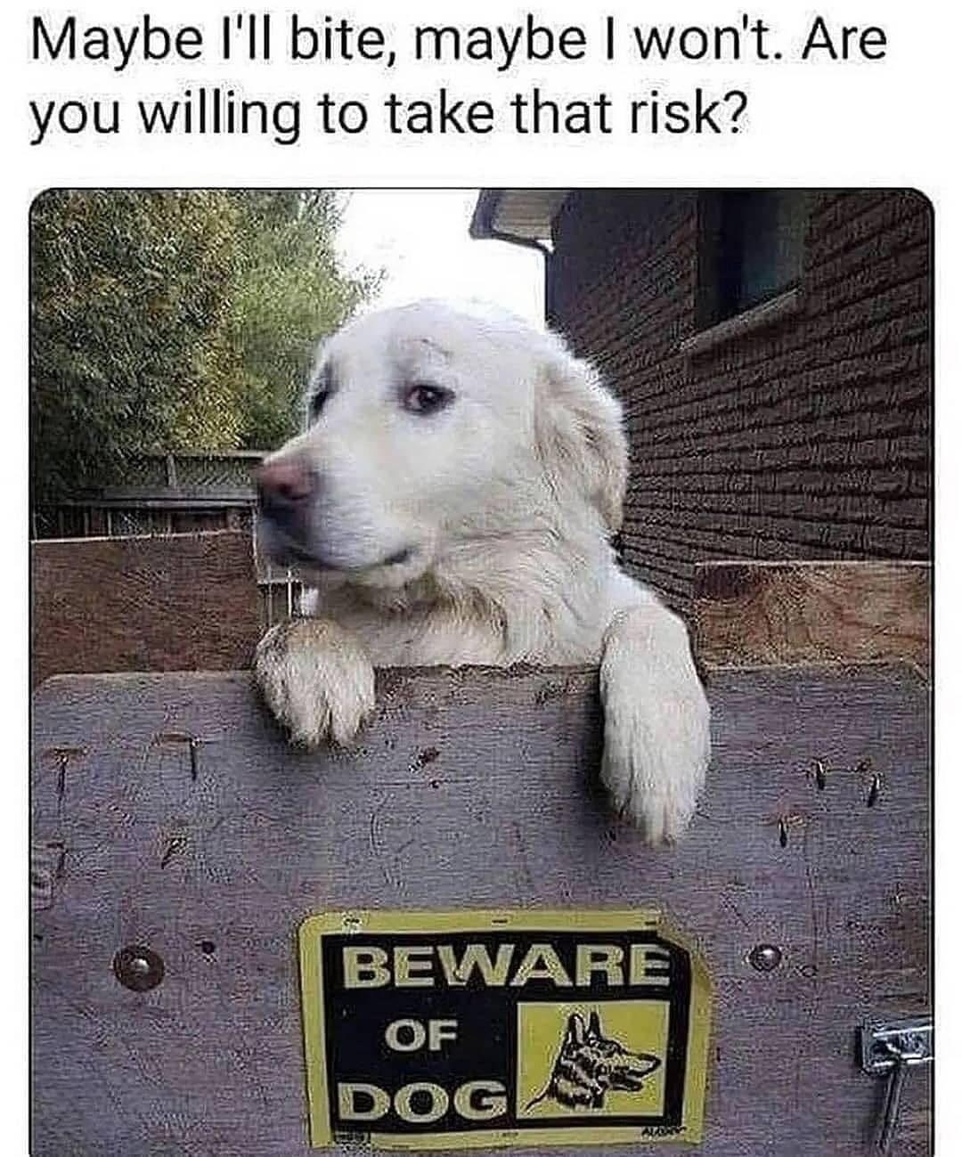 Maybe Ill bite maybe wont Are you willing to take that risk