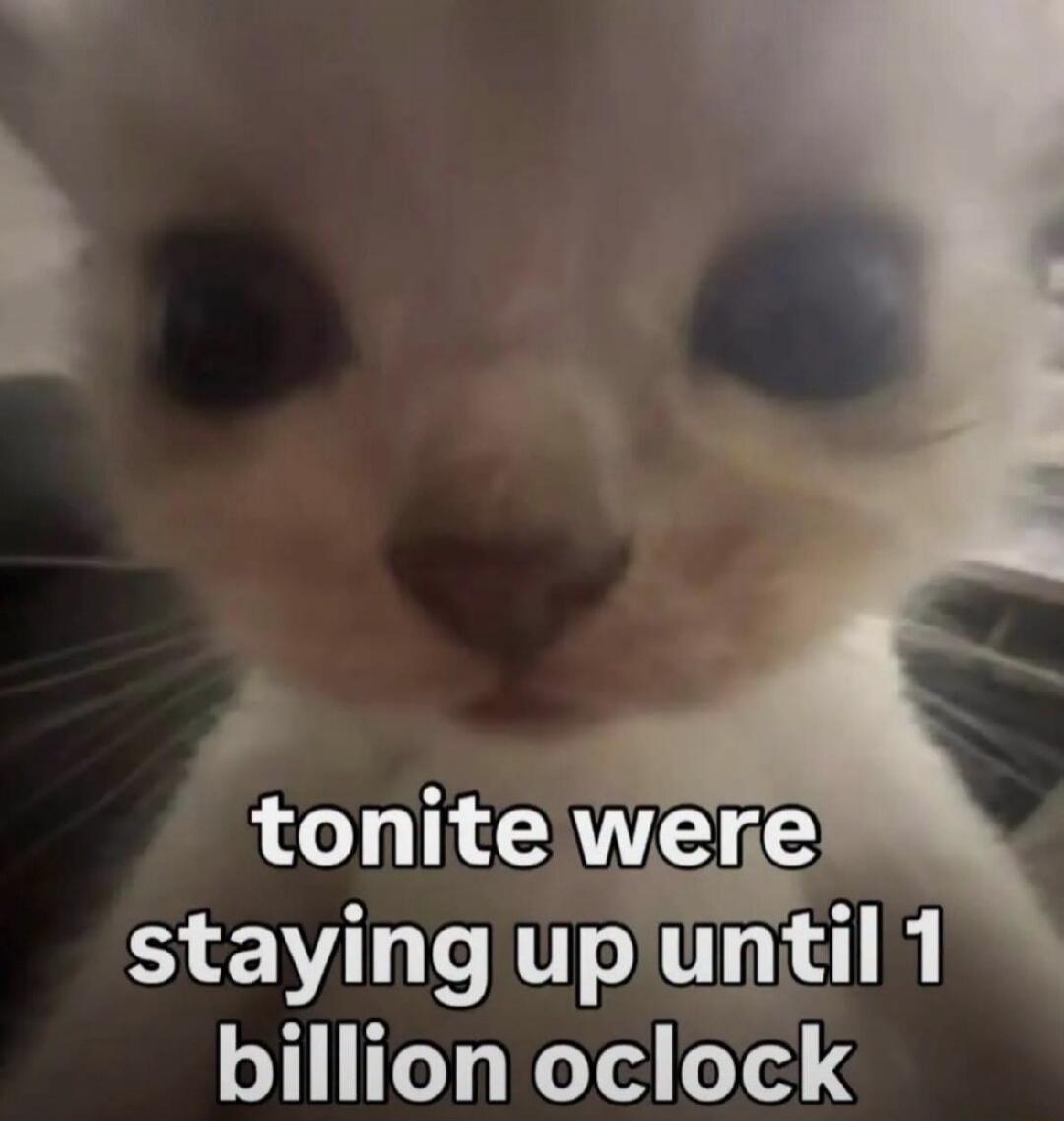 tonite were staying up until 1 billion oclock