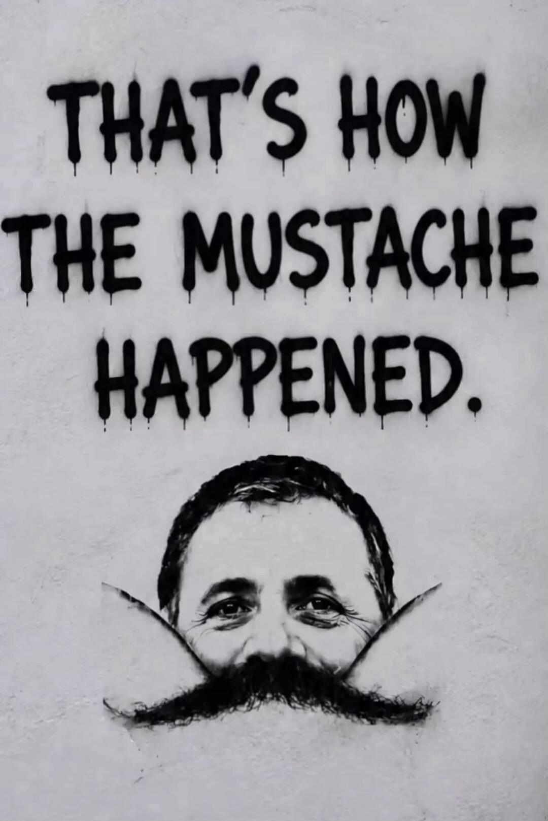 THAT'S HOW THE MUSTACHE HAPPENED.