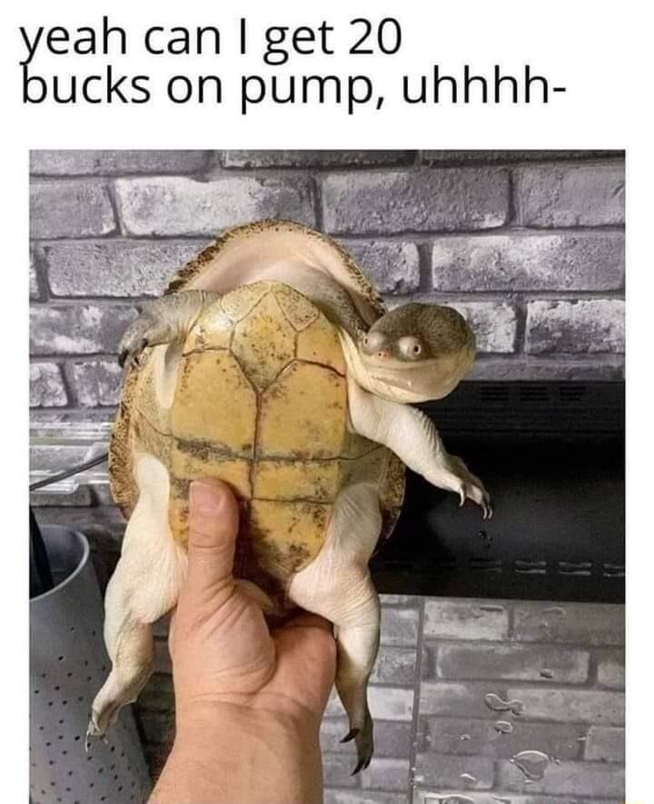 eah can get 20 ucks on pump uhhhh I